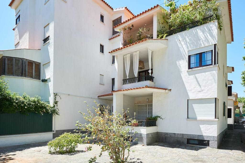 Oasis Apartment *